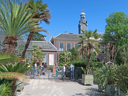 Hortus Botanicus in Leiden Holland