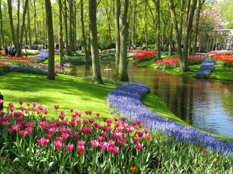 Keukenhof Gardens