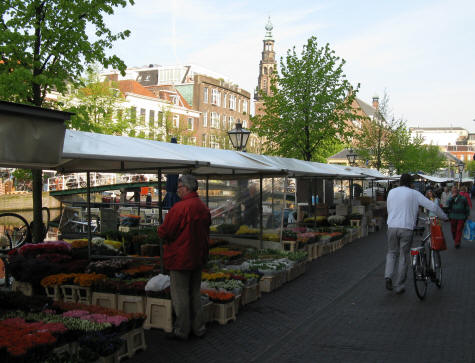 Flower Market in Leiden Holland