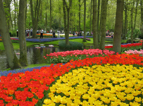 Keukenhof Gardens, Holland, Netherlands